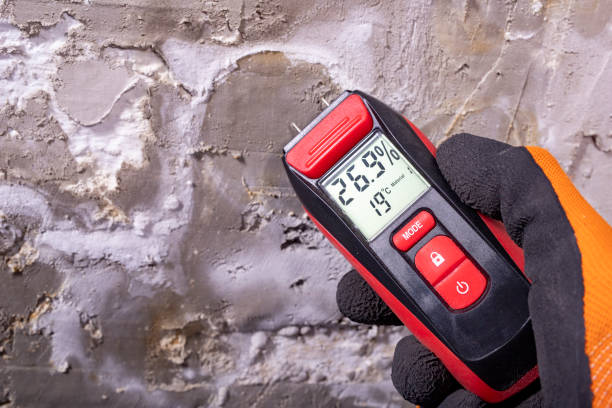 Best Toxic Mold Removal  in Wildewood, MD