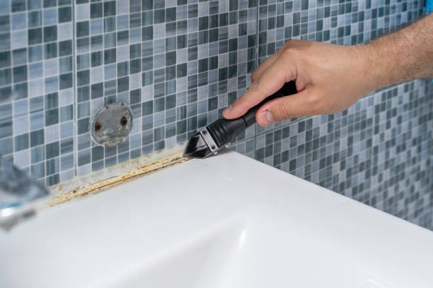 Best Affordable Mold Removal  in Wildewood, MD
